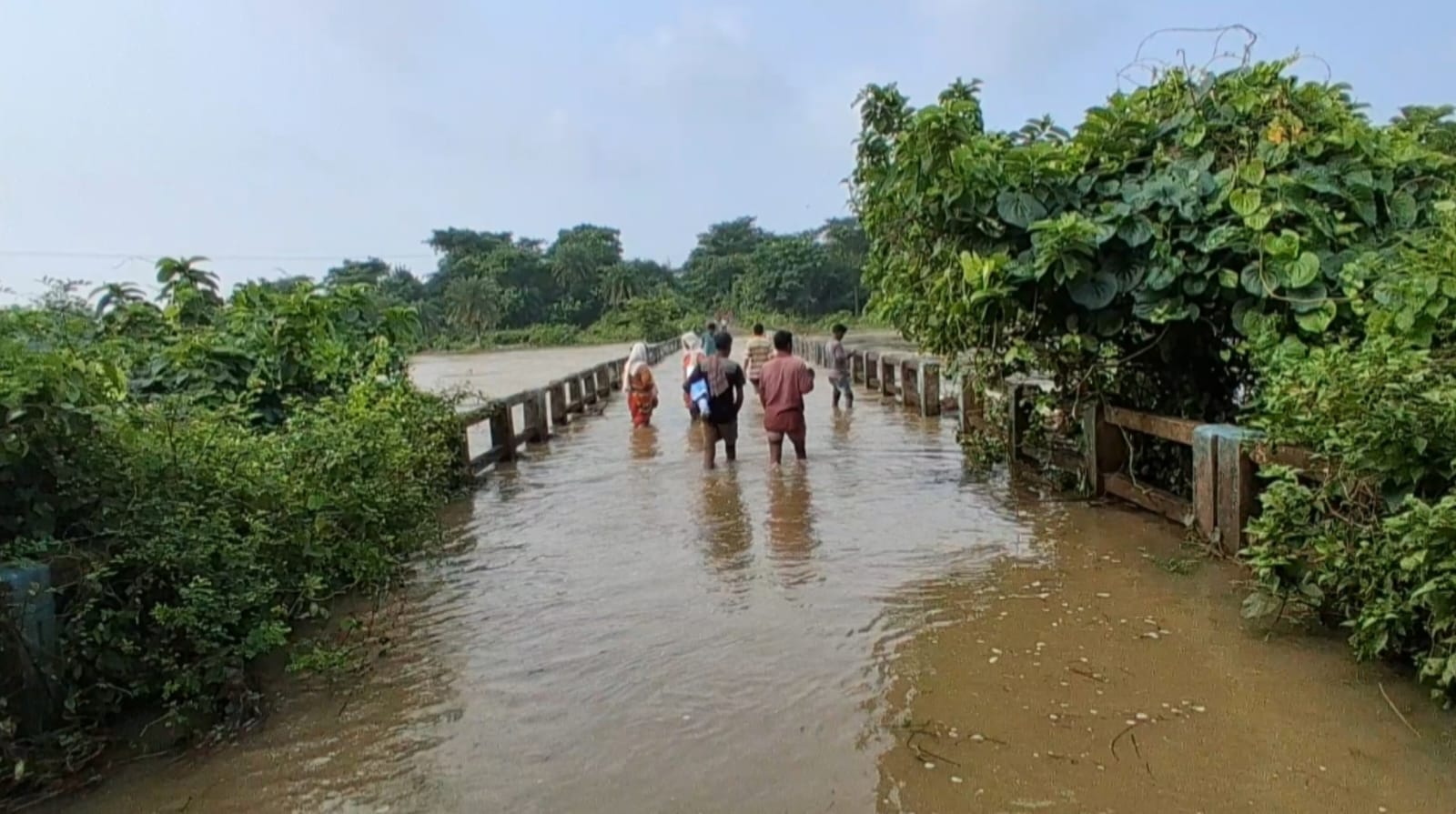 অতিরিক্ত বৃষ্টির জেরে জলের তলায় সেতু-বিচ্ছিন্ন হাড়মাসড়া-খাতড়া যোগাযোগ