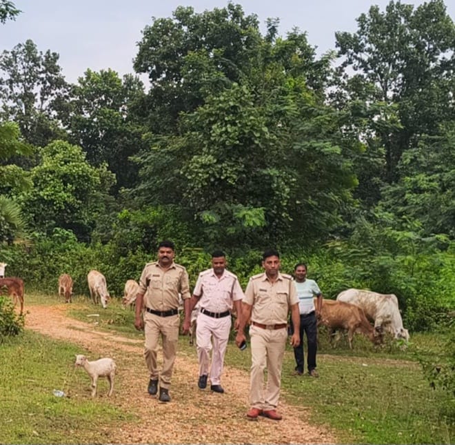হাতির আগমনে আতঙ্কিত এলাকাবাসী